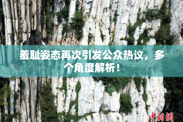 羞耻姿态再次引发公众热议，多个角度解析！