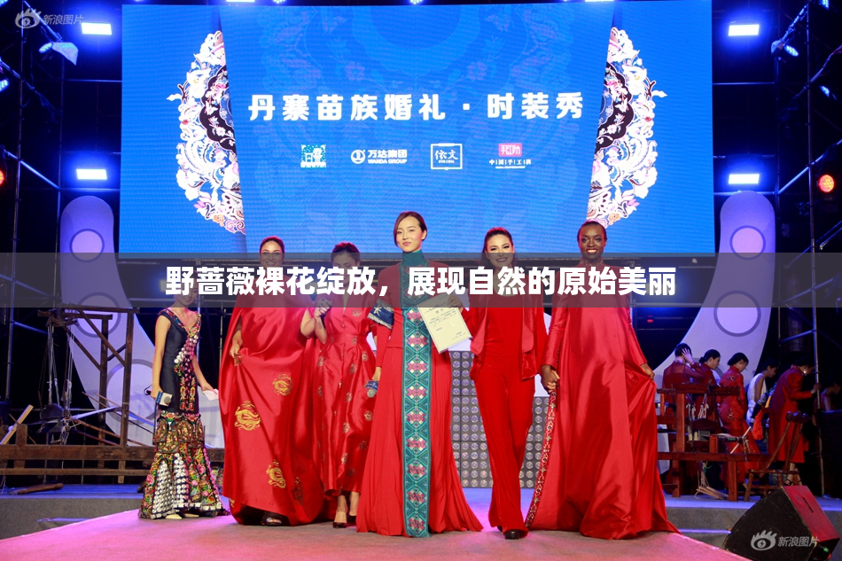 野蔷薇裸花绽放，展现自然的原始美丽