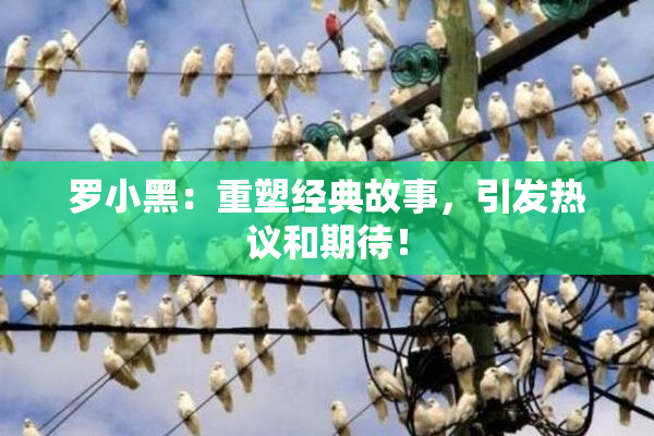 罗小黑：重塑经典故事，引发热议和期待！