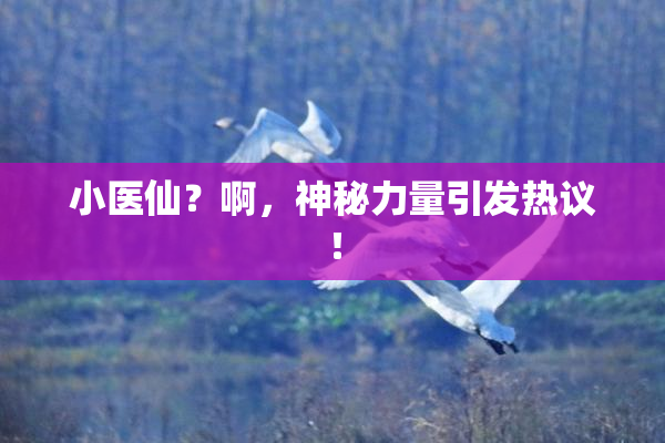 小医仙？啊，神秘力量引发热议！