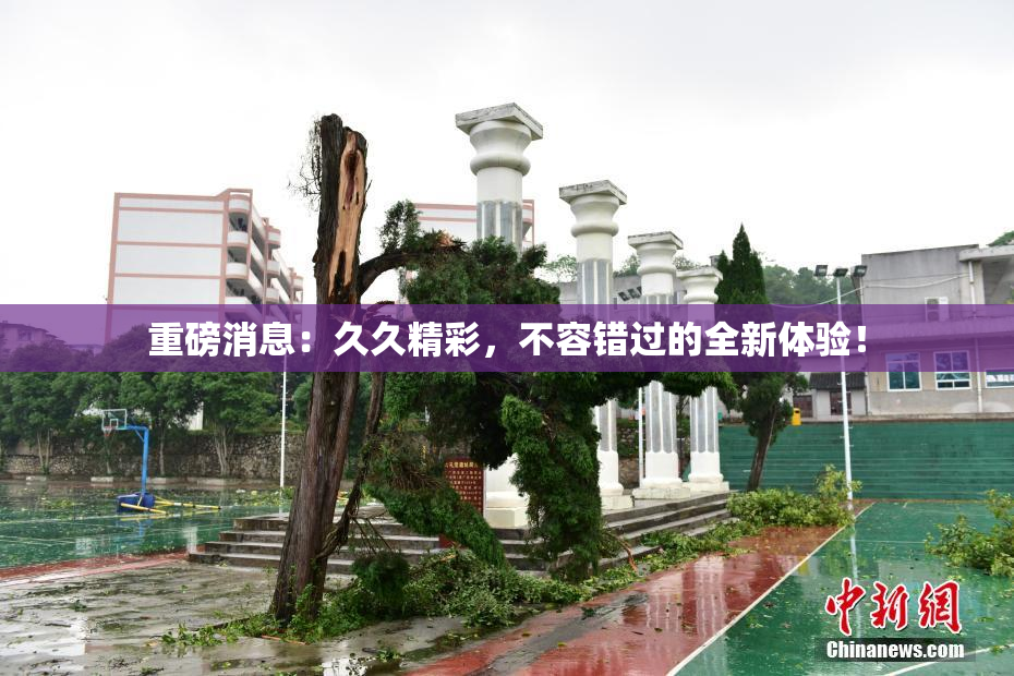 重磅消息：久久精彩，不容错过的全新体验！