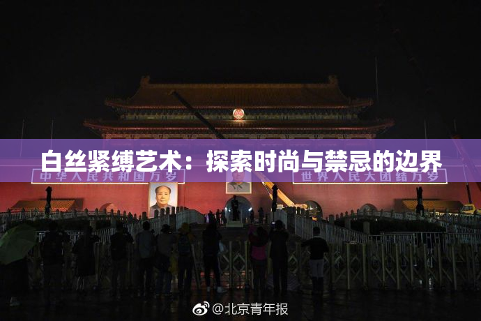 白丝紧缚艺术：探索时尚与禁忌的边界