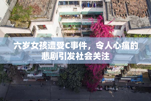 六岁女孩遭受C事件，令人心痛的悲剧引发社会关注