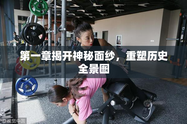 第一章揭开神秘面纱，重塑历史全景图