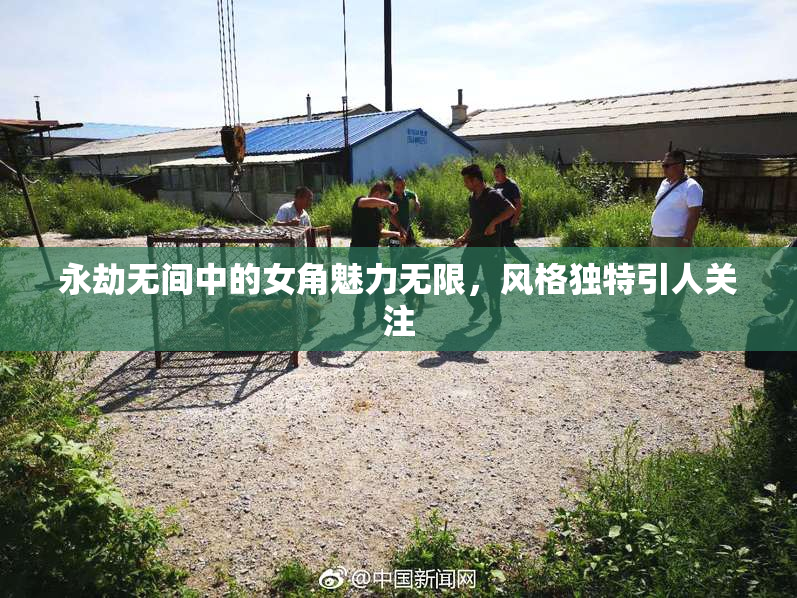 永劫无间中的女角魅力无限，风格独特引人关注