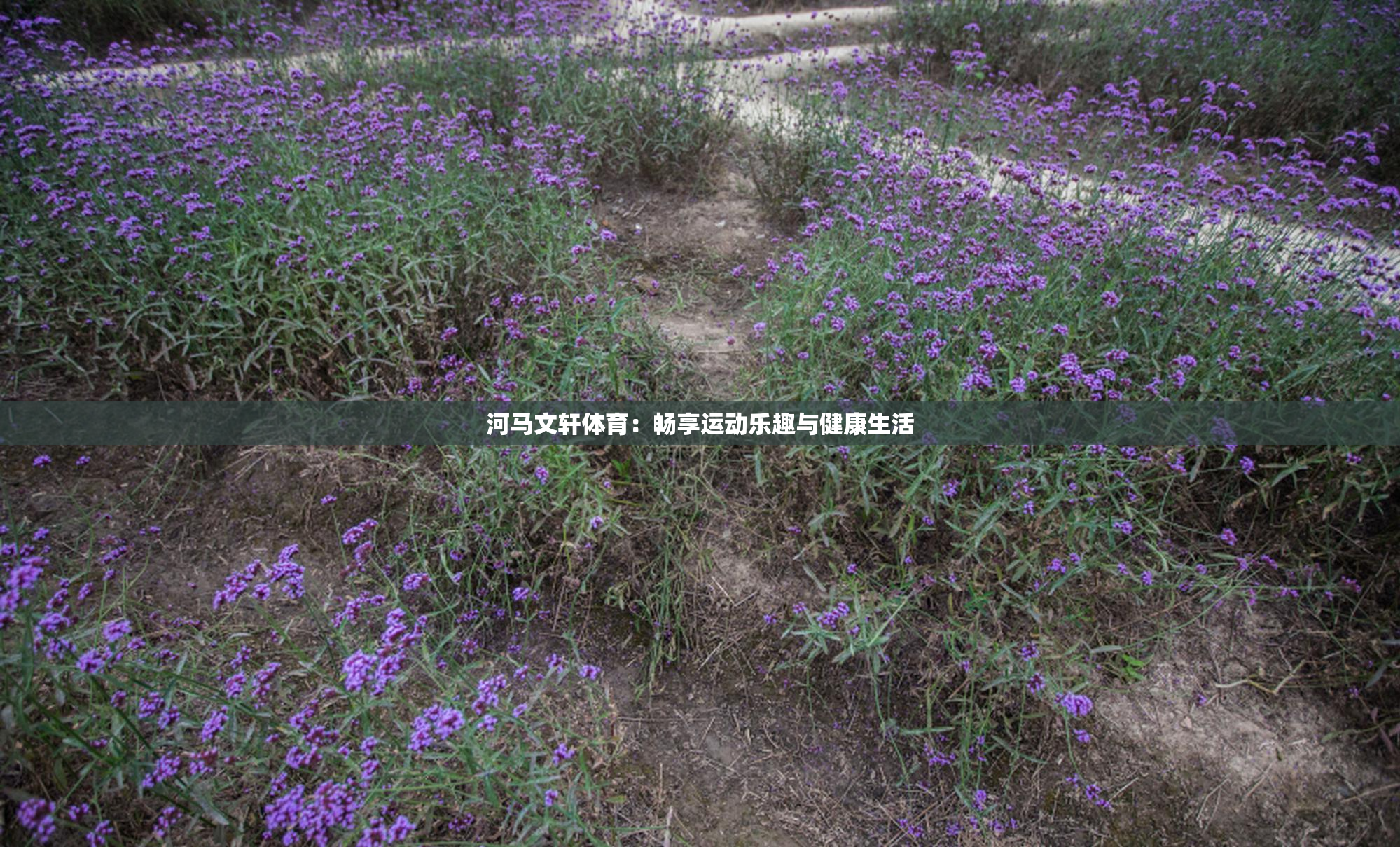 河马文轩体育：畅享运动乐趣与健康生活