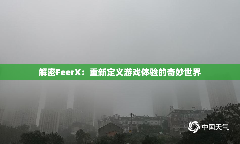 解密FeerX：重新定义游戏体验的奇妙世界