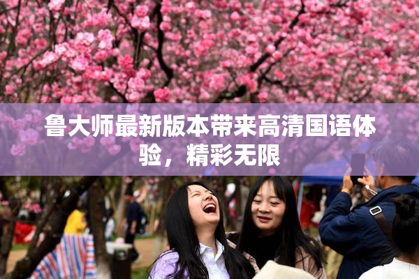 鲁大师最新版本带来高清国语体验，精彩无限