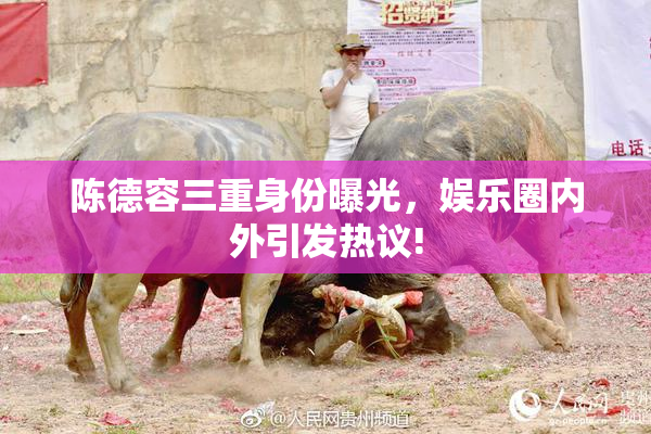 陈德容三重身份曝光，娱乐圈内外引发热议!