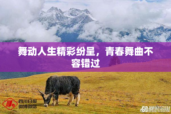 舞动人生精彩纷呈，青春舞曲不容错过
