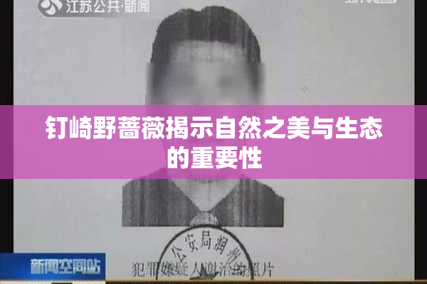 钉崎野蔷薇揭示自然之美与生态的重要性