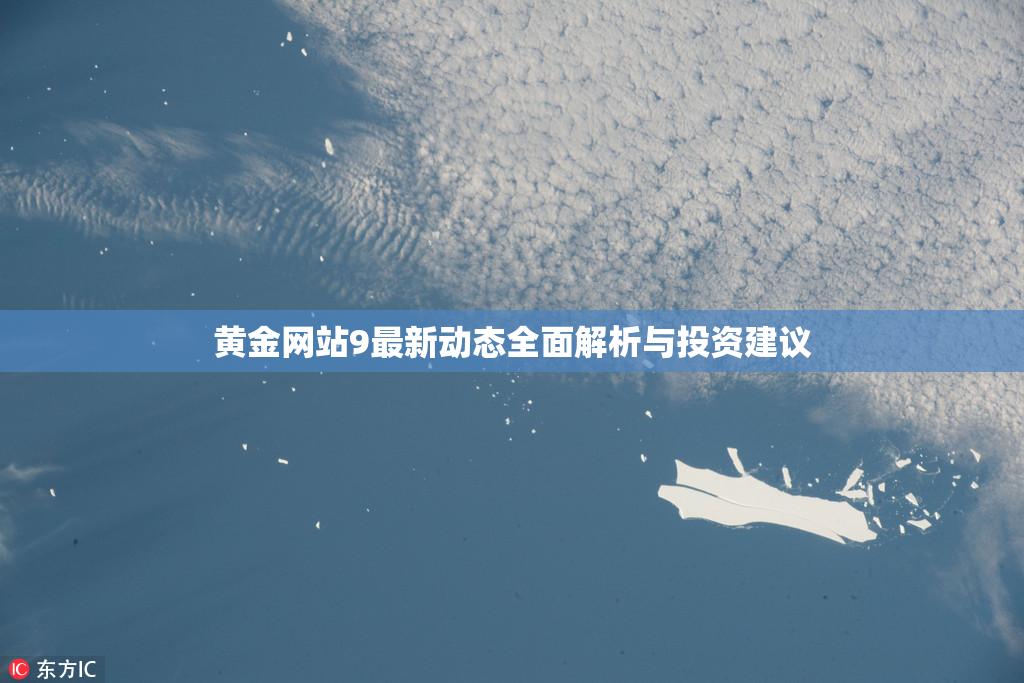 黄金网站9最新动态全面解析与投资建议