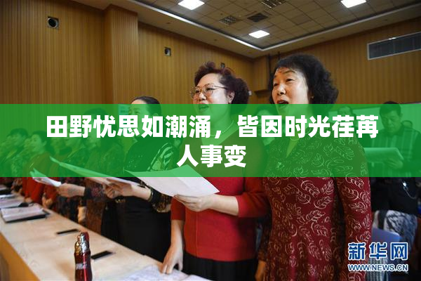 田野忧思如潮涌，皆因时光荏苒人事变