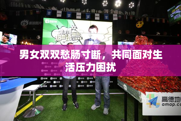 男女双双愁肠寸断，共同面对生活压力困扰