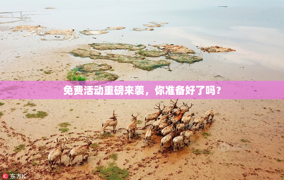 免费活动重磅来袭，你准备好了吗？