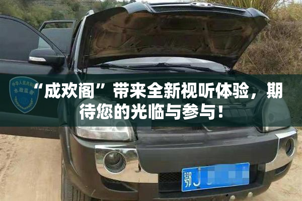 “成欢阁”带来全新视听体验，期待您的光临与参与！