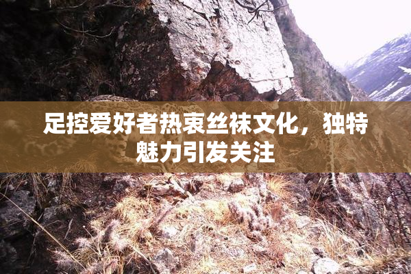 足控爱好者热衷丝袜文化，独特魅力引发关注