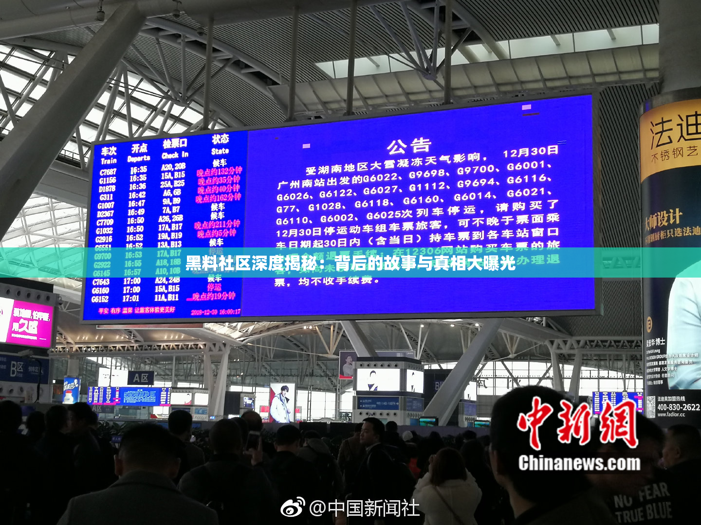 黑料社区深度揭秘：背后的故事与真相大曝光