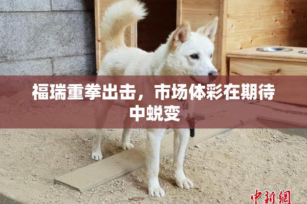 福瑞重拳出击，市场体彩在期待中蜕变