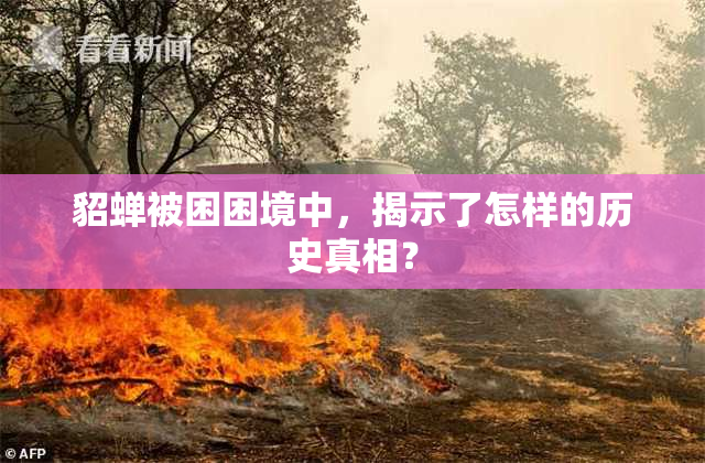 貂蝉被困困境中，揭示了怎样的历史真相？