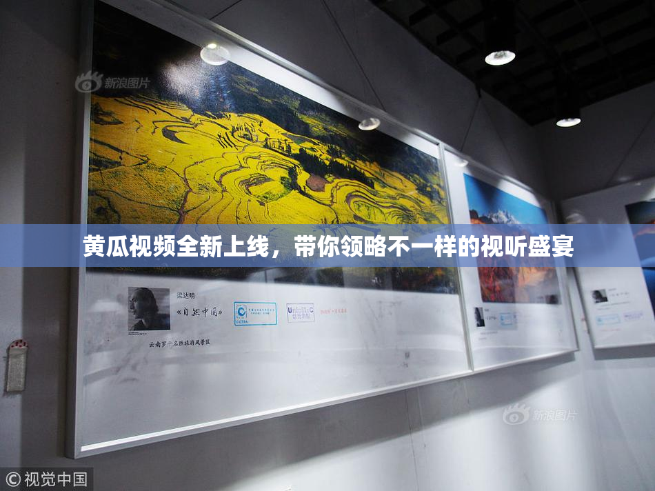 黄瓜视频全新上线，带你领略不一样的视听盛宴