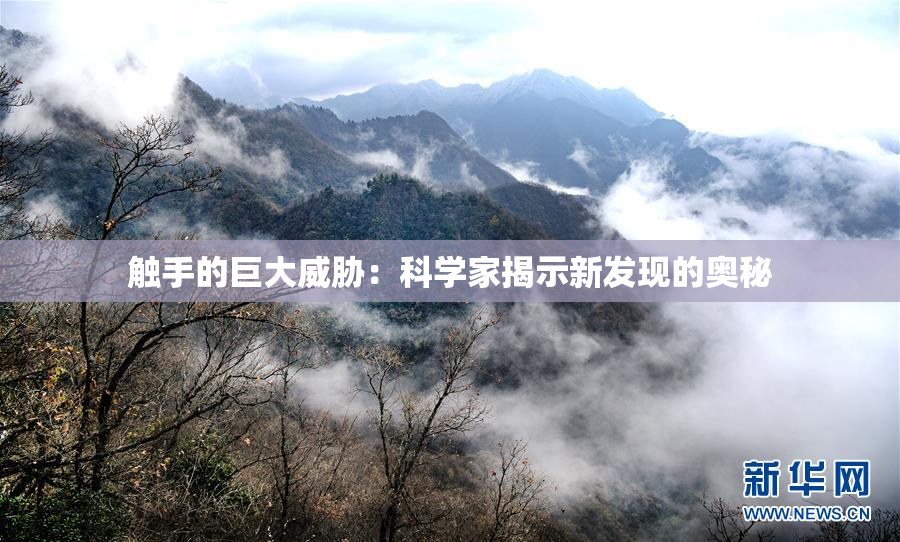 触手的巨大威胁：科学家揭示新发现的奥秘