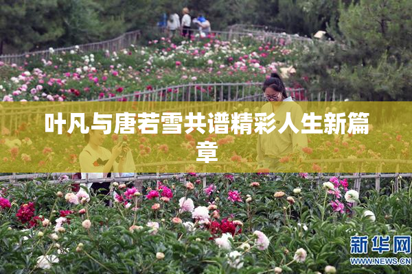 叶凡与唐若雪共谱精彩人生新篇章