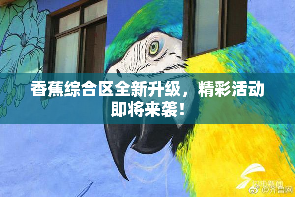 香蕉综合区全新升级，精彩活动即将来袭！