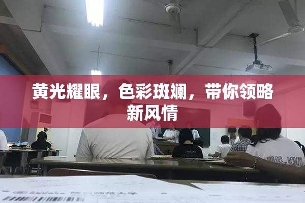 黄光耀眼，色彩斑斓，带你领略新风情