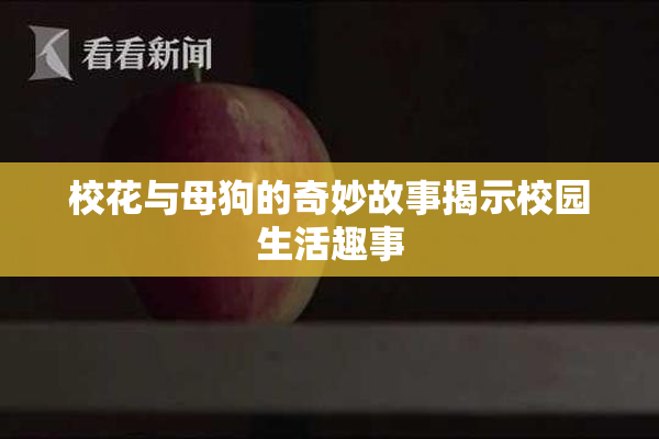 校花与母狗的奇妙故事揭示校园生活趣事