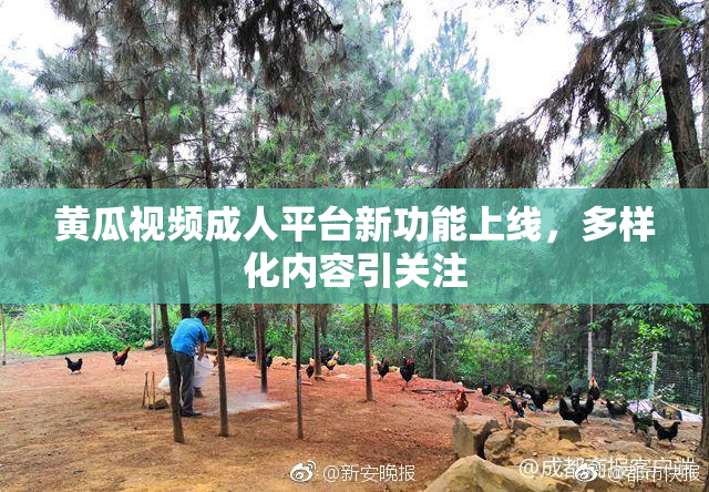 黄瓜视频成人平台新功能上线，多样化内容引关注