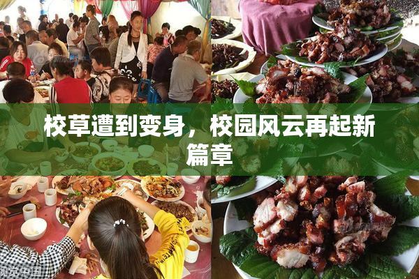 校草遭到变身，校园风云再起新篇章