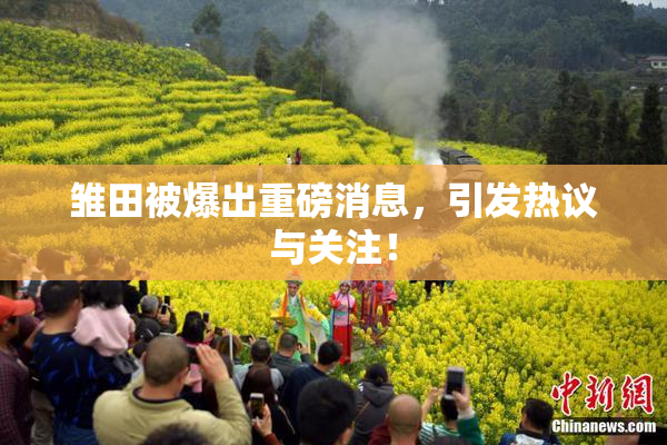 雏田被爆出重磅消息，引发热议与关注！
