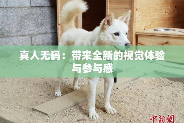 真人无码：带来全新的视觉体验与参与感