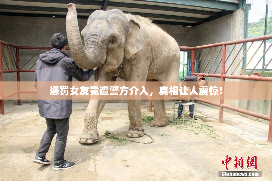 惩罚女友竟遭警方介入，真相让人震惊！