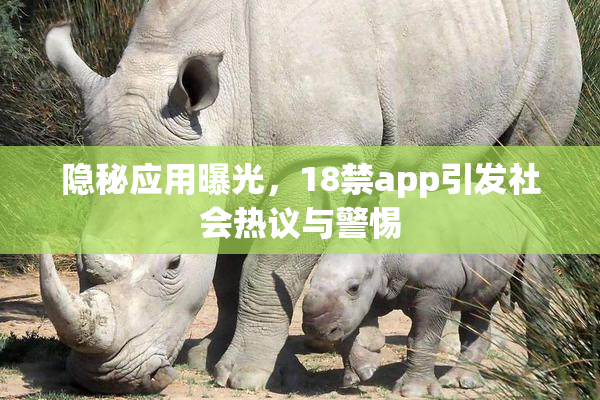 隐秘应用曝光，18禁app引发社会热议与警惕