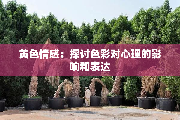 黄色情感：探讨色彩对心理的影响和表达