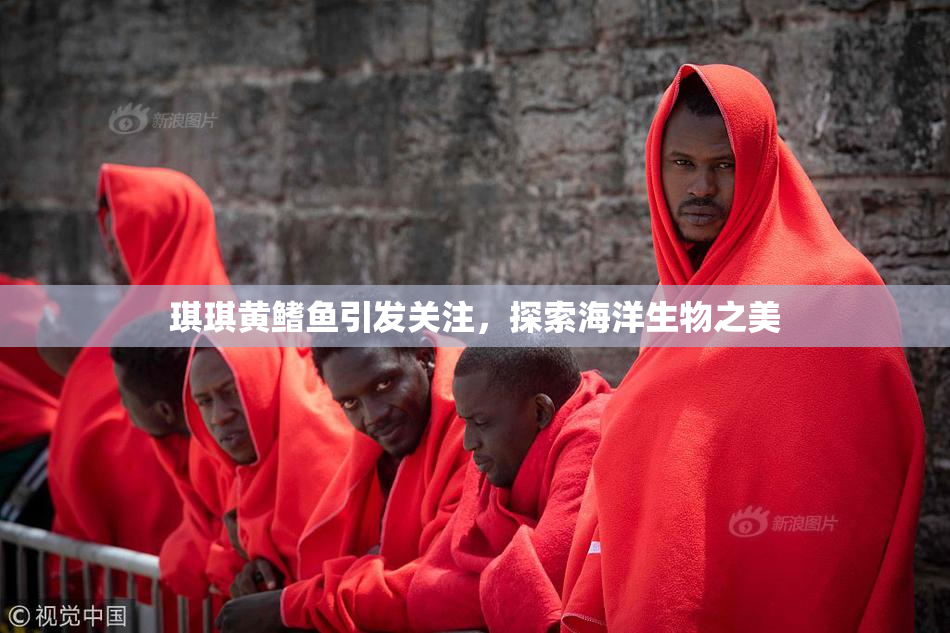 琪琪黄鳍鱼引发关注，探索海洋生物之美