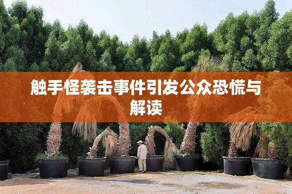 触手怪袭击事件引发公众恐慌与解读
