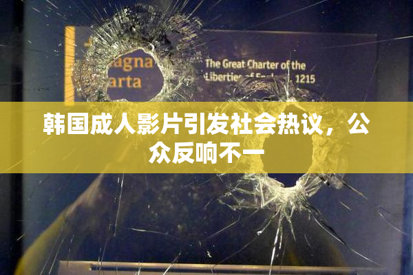 韩国成人影片引发社会热议，公众反响不一