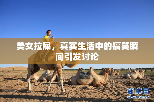 美女拉屎，真实生活中的搞笑瞬间引发讨论