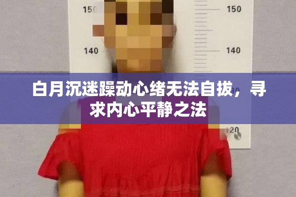 白月沉迷躁动心绪无法自拔，寻求内心平静之法