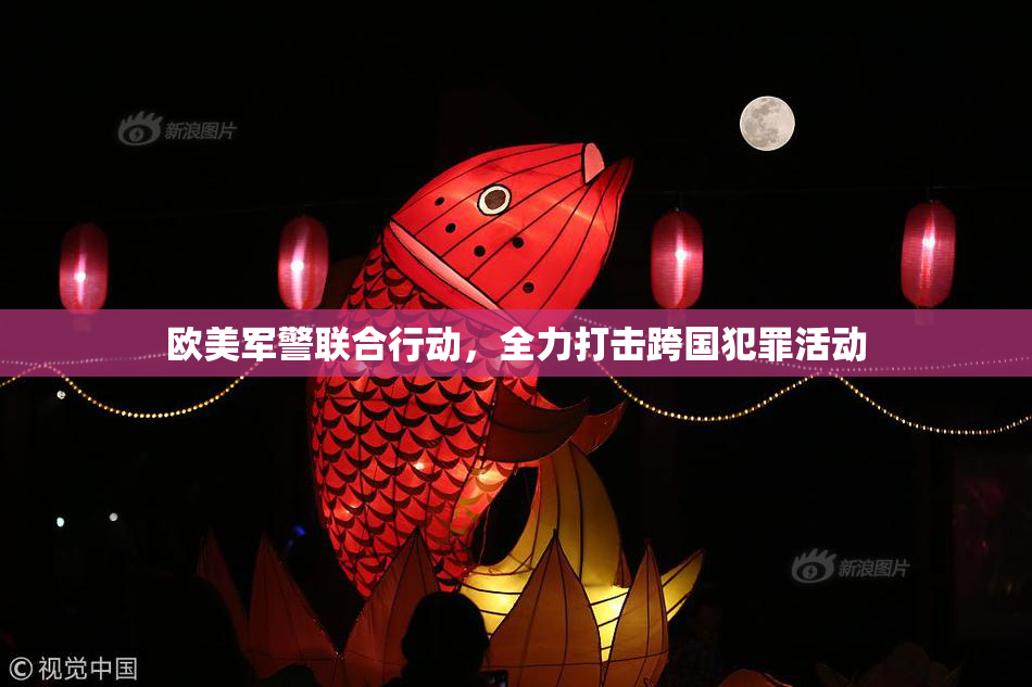欧美军警联合行动，全力打击跨国犯罪活动