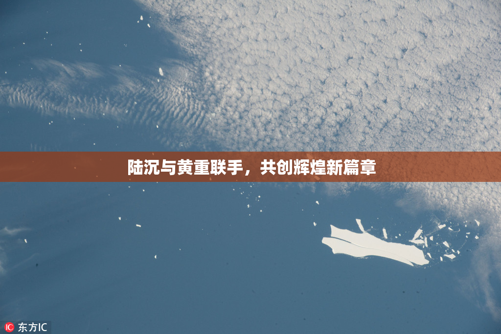 陆沉与黄重联手，共创辉煌新篇章