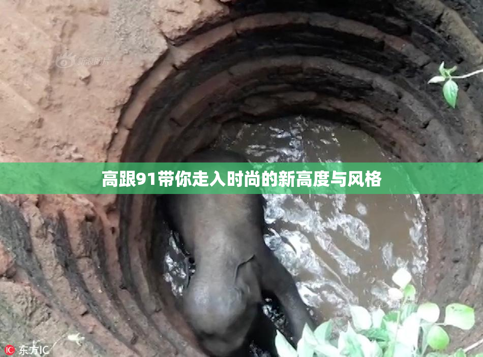 高跟91带你走入时尚的新高度与风格