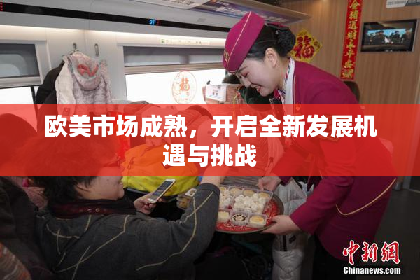 欧美市场成熟，开启全新发展机遇与挑战
