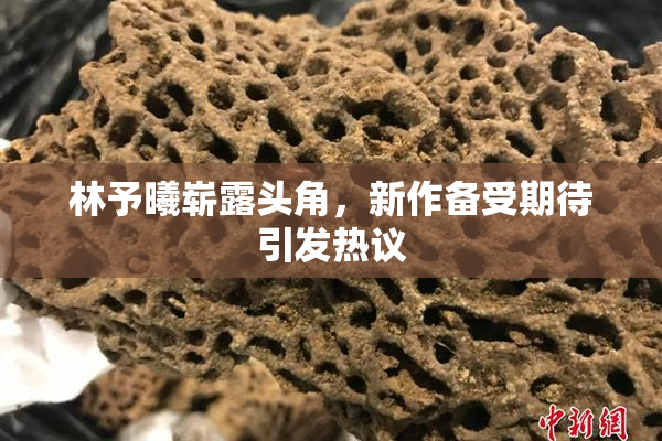 林予曦崭露头角，新作备受期待引发热议