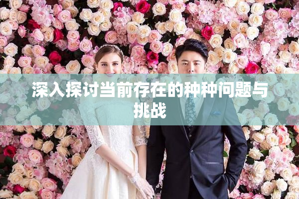 深入探讨当前存在的种种问题与挑战