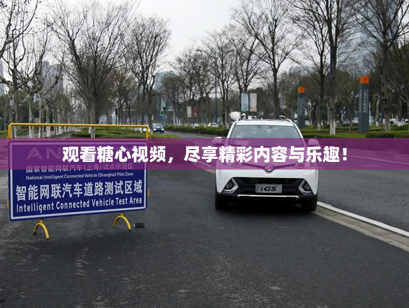 观看糖心视频，尽享精彩内容与乐趣！