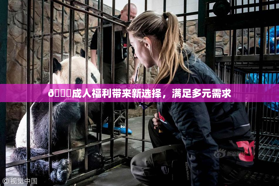 🔞成人福利带来新选择，满足多元需求